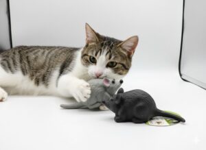 SQUEAKY MOUSE CAT TOY